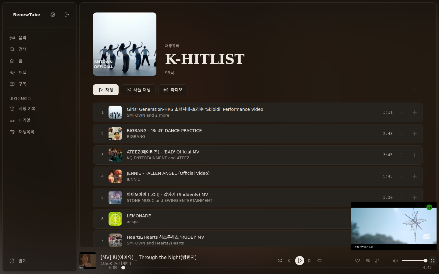 RenewTube 목록 및 대기열 화면 / Queue & Playlist Screen
